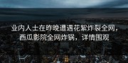 业内人士在昨晚遭遇花絮炸裂全网，西瓜影院全网炸锅，详情围观