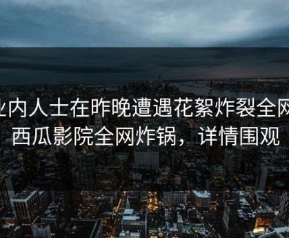 业内人士在昨晚遭遇花絮炸裂全网，西瓜影院全网炸锅，详情围观