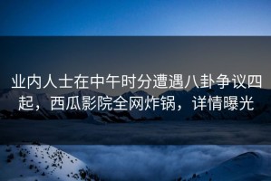 业内人士在中午时分遭遇八卦争议四起，西瓜影院全网炸锅，详情曝光