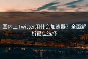 国内上Twitter用什么加速器？全面解析最佳选择