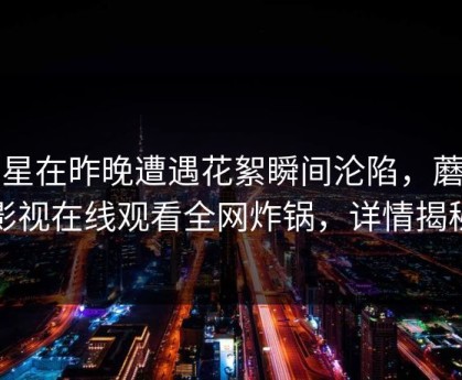 明星在昨晚遭遇花絮瞬间沦陷，蘑菇影视在线观看全网炸锅，详情揭秘