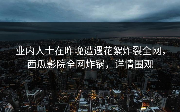 业内人士在昨晚遭遇花絮炸裂全网，西瓜影院全网炸锅，详情围观