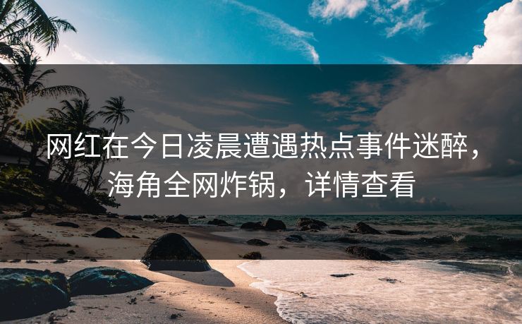 网红在今日凌晨遭遇热点事件迷醉，海角全网炸锅，详情查看